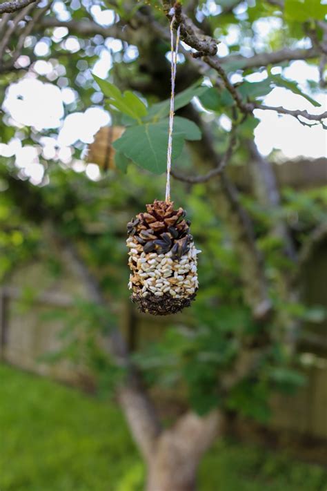 Easy DIY Pine Cone Bird Feeder