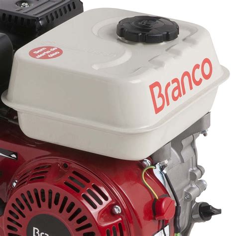 Motor à Gasolina 5 5 CV 4T sem Alerta de Óleo B4T 6 5H BRANCO