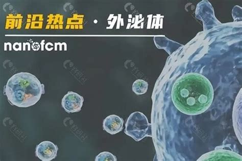 外泌体治脱发效果好吗有副作用没看外泌体生发原理价格 爱美容研社