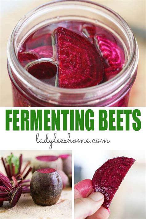 Lacto Fermented Beets Recipe | Bryont Blog