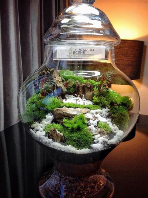 Stunning Bonsai Terrarium For Miniature Landscaping In The Jars