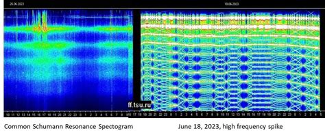 The Schumann Resonance - Earth’s Heartbeat — Live Your Light