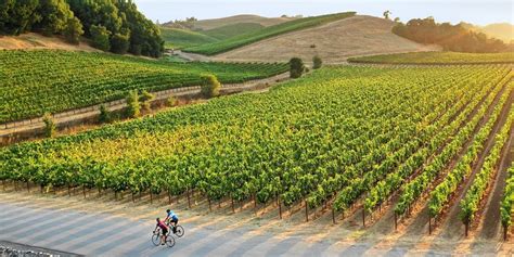 sonoma county featured destination travelzoo travelzoo