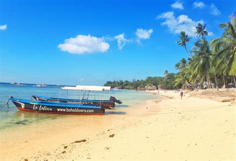 Bohol Divers Club Dive Center In Philippines