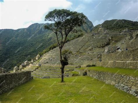 Premium Photo The Terraces Or Platforms Structures Of The Inca Empire