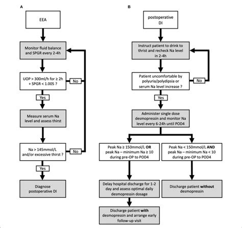 Proposed Algorithm For The Diagnosis And Management Of Postoperative