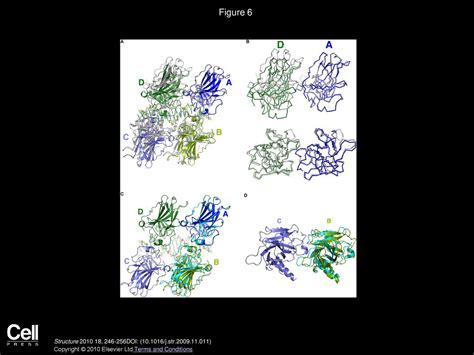 Crystal Structure Of The P53 Core Domain Bound To A Full Consensus Site As A Self Assembled