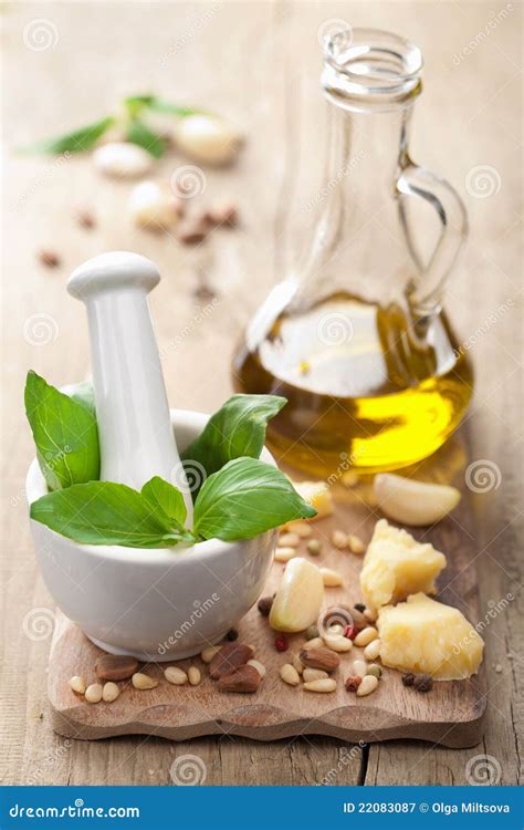 Ingredients For Pesto Sauce Stock Image Image Of Basil Cheese 22083087