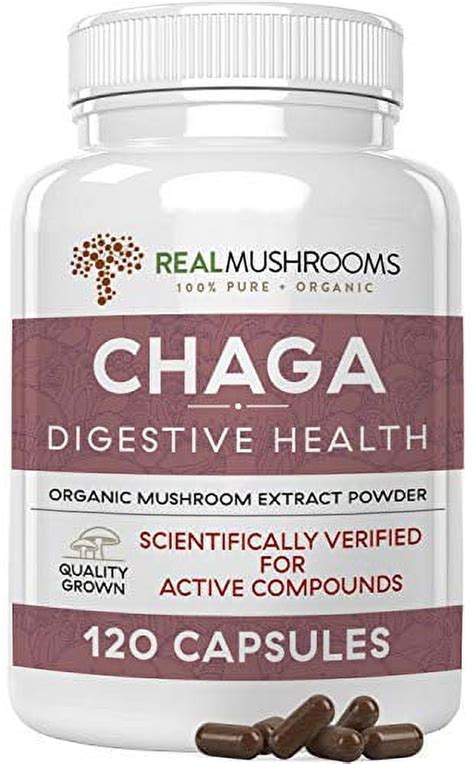 Real Mushrooms Chaga Mushroom Extract Powder 120 Capsules