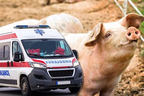 Uspela Je Da Pobedi Ak I Rak Evo Kakvo Je Stanje Ene Koju Je