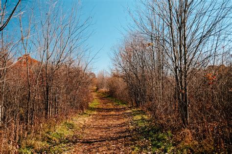 Take a Family-Friendly Hike at the Tree Farm Trail – Conservancy for ...