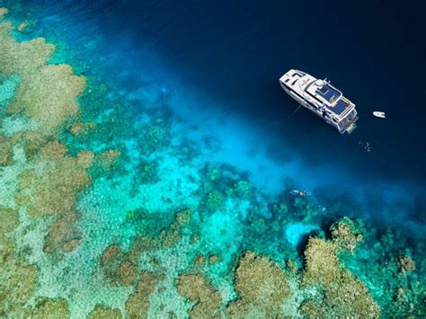 Tour In Das Great Barrier Reef Tauchen Schnorcheln 2024