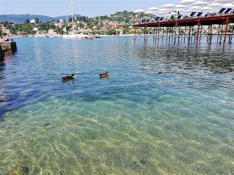 Sand Beaches in Rapallo - BeachAtlas