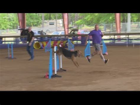 Sc Akc Agility Trials Youtube