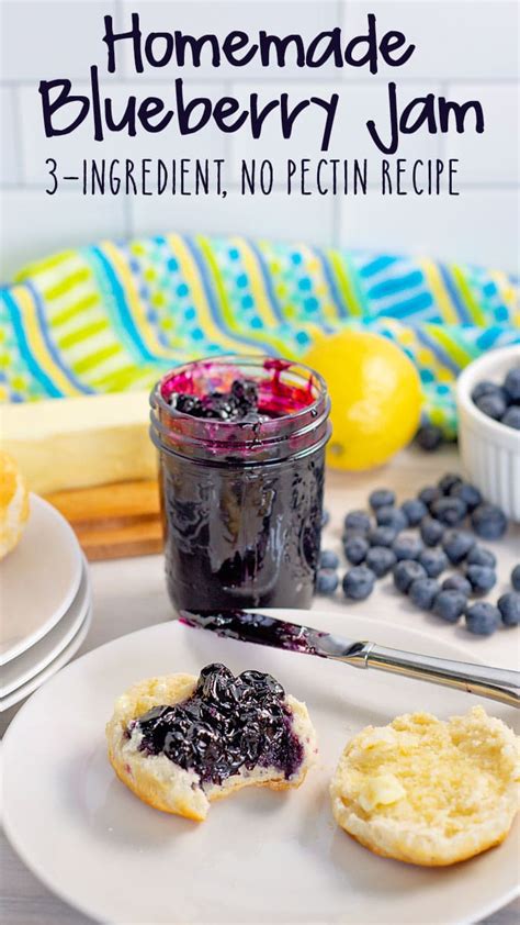 Blueberry Raspberry Jam Recipe Without Pectin Bryont Blog