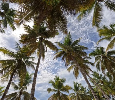 Emerging Travel Hotspots for 2025: Hidden Gems You Shouldn't Miss in