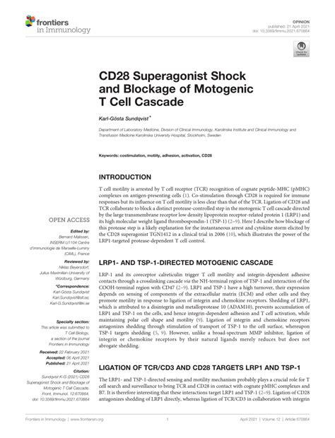 Pdf Cd28 Superagonist Shock And Blockage Of Motogenic T Cell Cascade