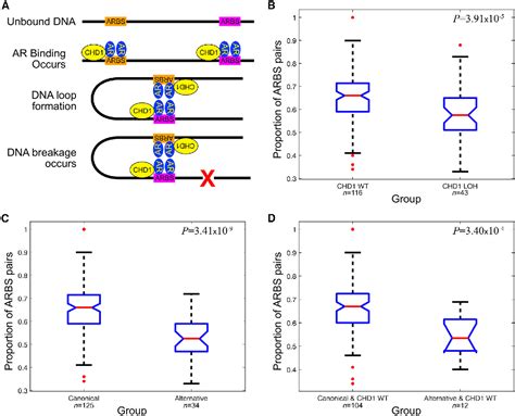 Figure 1 From Genomic Evolution Shapes Prostate Cancer Disease Type Semantic Scholar