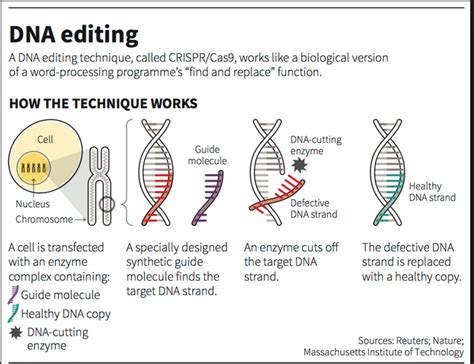 What Is Crispr Cas Insights Ias Simplifying Upsc Ias Exam Preparation