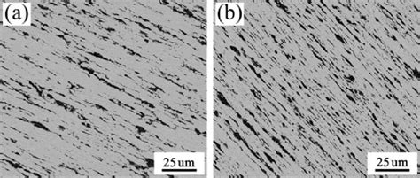 SEM Micrographs Of Longitudinal Cross Section Of The Hot Extruded