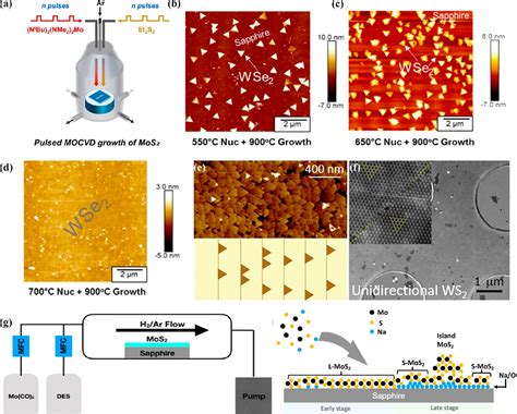 Strategies For Controlled Growth Of Transition Metal Dichalcogenides By