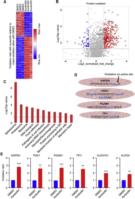 Combined Thioredoxin Reductase And Glutaminase Inhibition Exerts