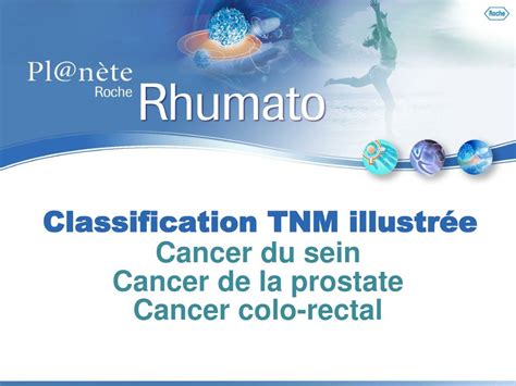 Classification Tnm Cancer Sein Outlet 100 Brunofuga Adv Br