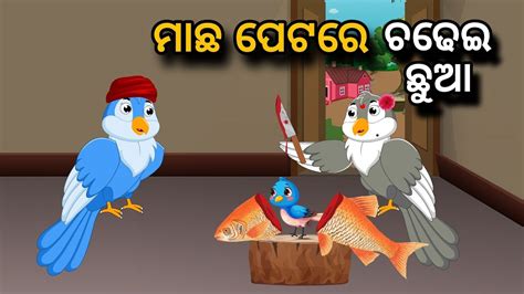 Machha Petare Chadhei Chhua Tiki Chadhei Gapa Birds Story Moral