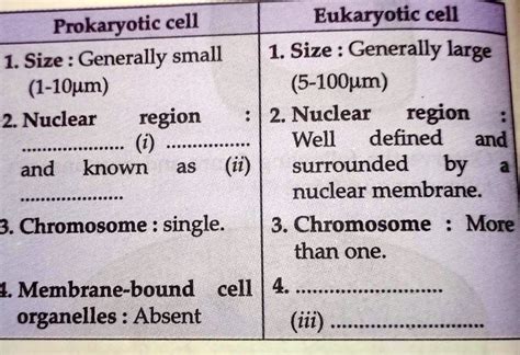 Prokaryotic Eukaryotic Cells Differences Examples Off