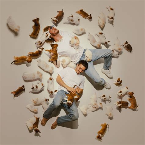 BABY GRAVY - Baby Gravy 3 - Reviews - Album of The Year