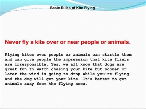 Kite flying rules