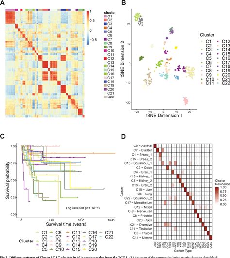 Figure 2 From Cancer Classification Based On Chromatin Accessibility