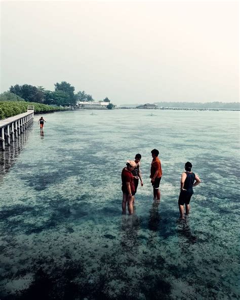 Pesona Pulau Penyu Tanjung Benoa Bali