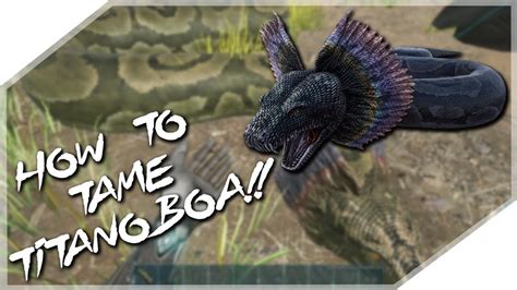 How To Tame Titanoboas Ark Survival Evolved Youtube