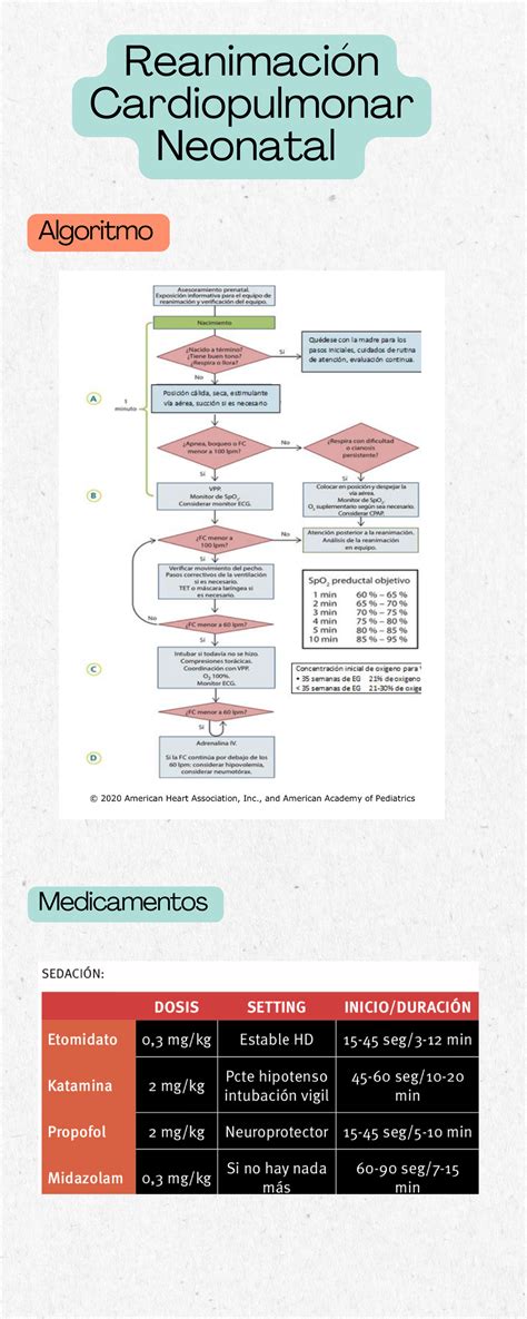 Infografía Rcp neonatal enfermeria Reanimación Cardiopulmonar