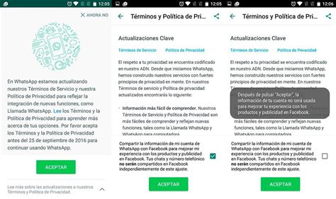 Qué pasa si no he aceptado los nuevos términos de Whatsapp Blog de