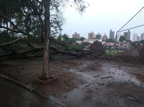 Rvore Cai Ap S Forte Chuva Em Campinas E Derruba Parte De Muro Do Ct