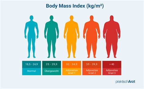 Adipositas Ursachen Und Behandlung