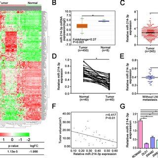 Mir P Is Downregulated In Crc Tissues And Associated With Crc