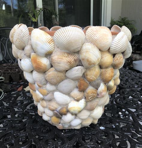 Large 12 Seashell Planter Pot Plant Beach Decor Scallop Shell Pot Terra