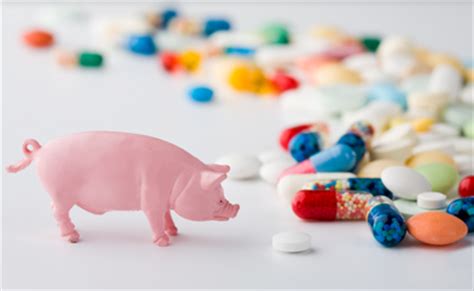 2015 in Review: Animal Antibiotics | Food Safety News