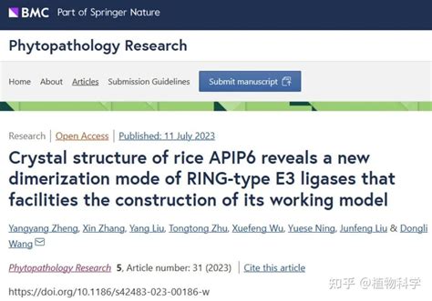 中国农业大学植物保护学院揭示水稻e3泛素连接酶apip6发挥作用的结构机制 知乎