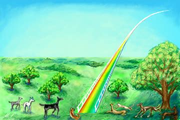 Rainbow Bridge (pets) - Wikipedia