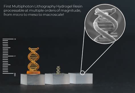 Hydrogel Hydrotech Inx N200 Von Bio Inx Für Zwei Photonen Polymerisation Vor