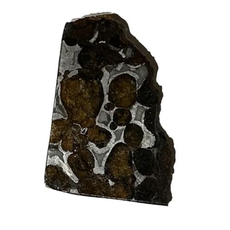 Sericho Meteorite Stony Iron Pallasite Prehistoric Online