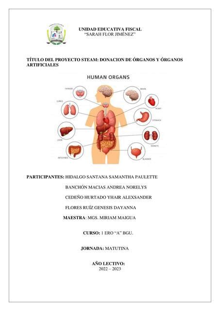 Donaci N De Rganos Y Rganos Artificiales Samantha Hidalgo Udocz