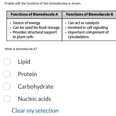 Solved: A table with the functions of two biomolecules is shown. What is biomolecule A? Lipid ...