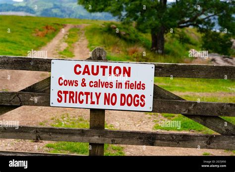 Scottish Warning Sign High Resolution Stock Photography And Images Alamy