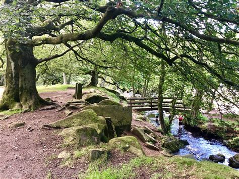 Exciting Kids Walk Padley Gorge 2 Miles Nature Walk