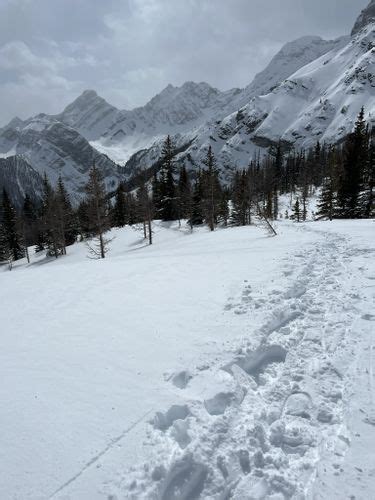 2023 Best Skiing Trails In Kananaskis Improvement AllTrails